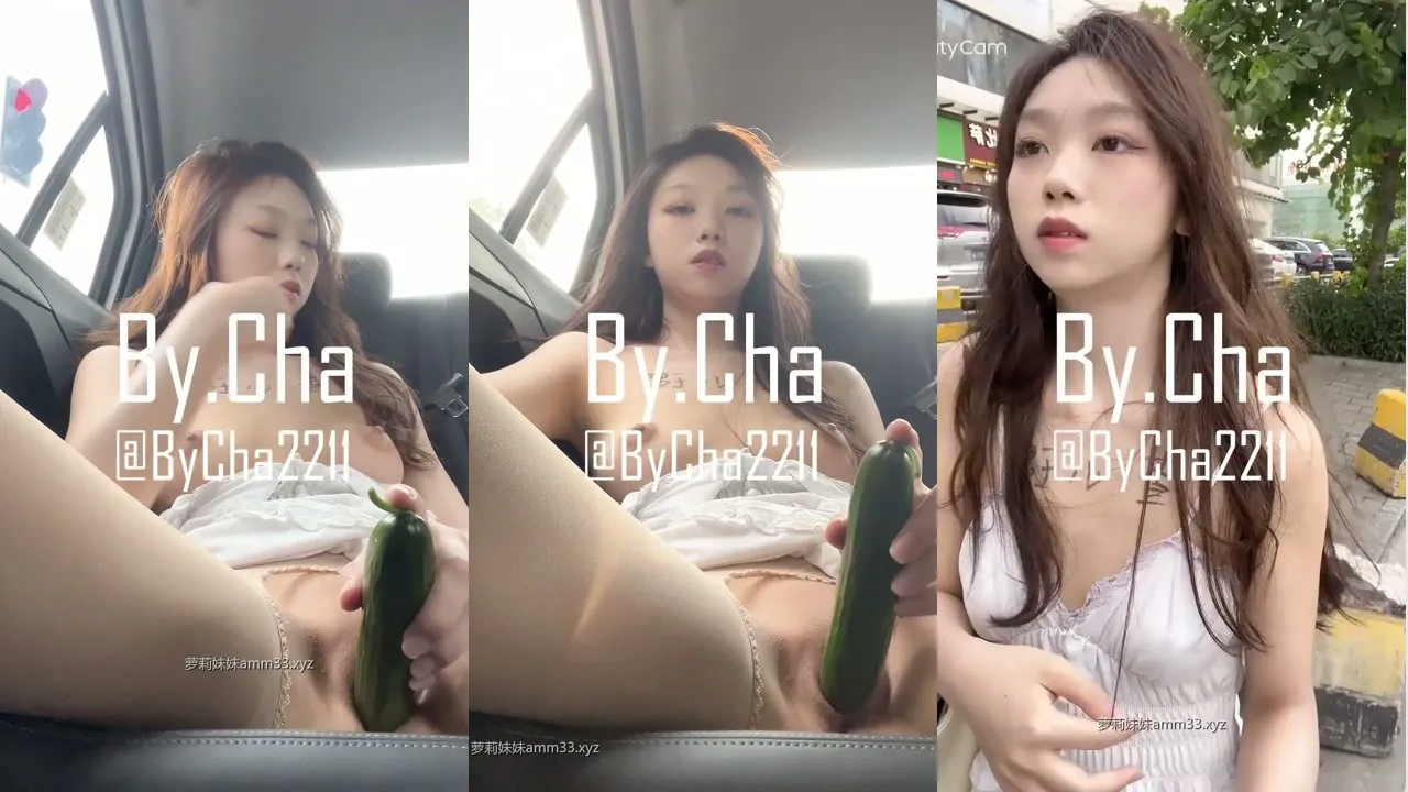 调教大神@查小理 – 母狗吴晗露出作合集 [9V0P_5.26GB]